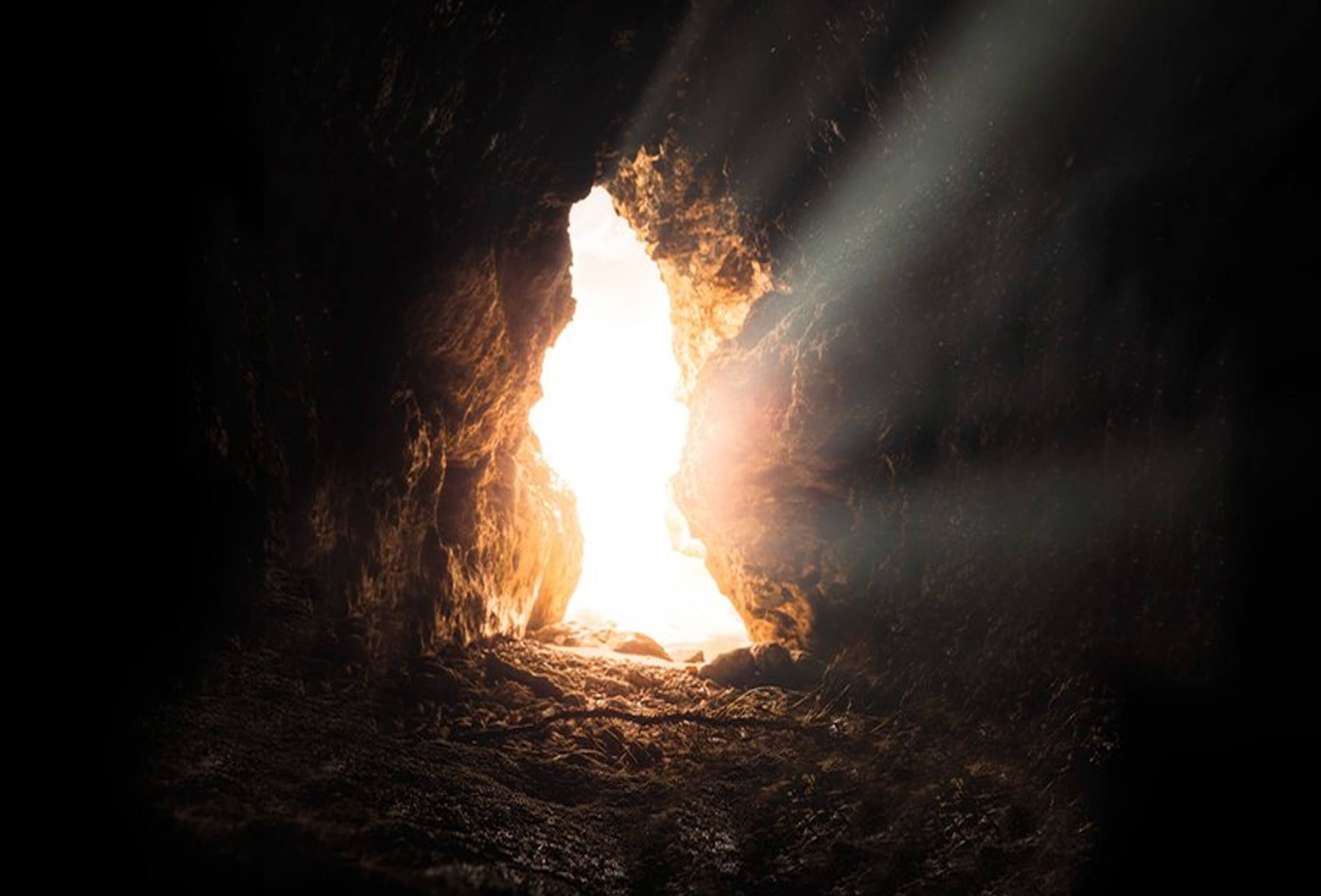 La curandera de la luz - Sanando a través de la oscuridad